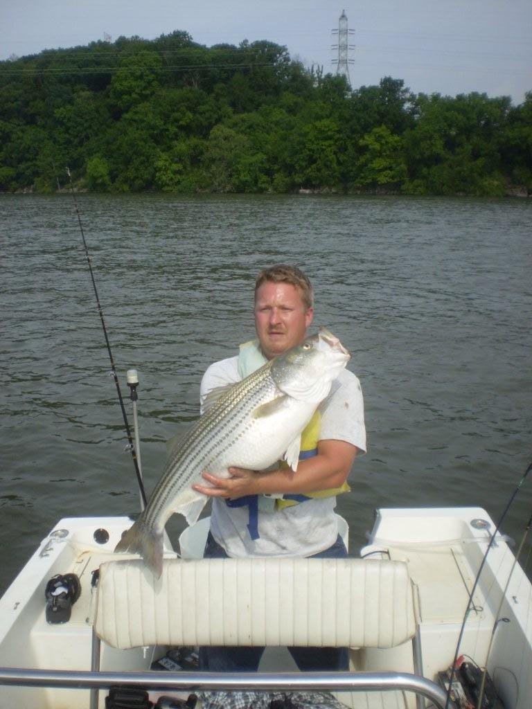RobFish3