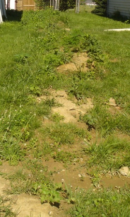 SideYard1
