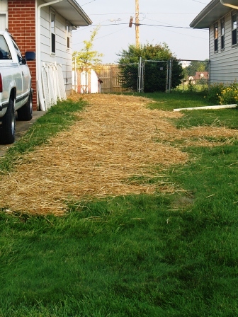 SideYard2