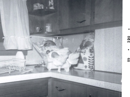 Waybac.1968.12.tmsggmbh