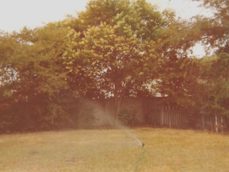 Waybac.1978.07.Cali.BY.jpg