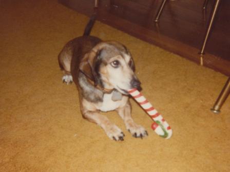 Waybac.1980.12.sbwcc.dresli