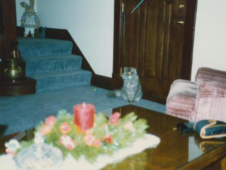 Waybac.1992.12.lcilp1