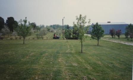 Waybac.1993.tmmadbyadhiri