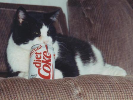 Waybac.1994.melDC