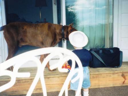 Waybac.1997.07.04msbd.bprsgi