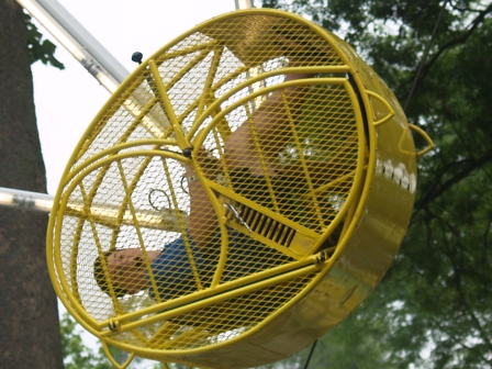 ci19