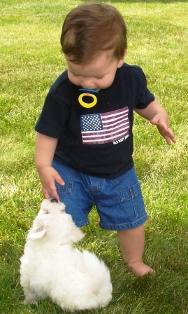 mmc.2004.08e