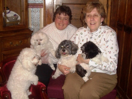 mmc.2006.12
