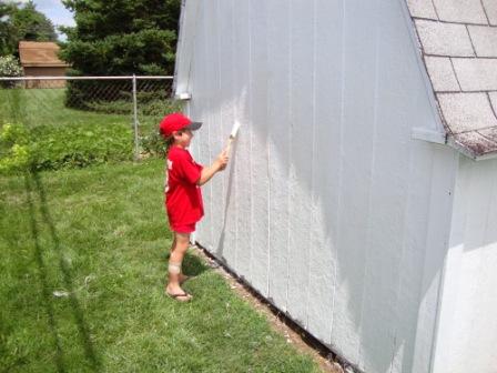 shedreno3