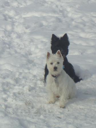 snowbuddies1