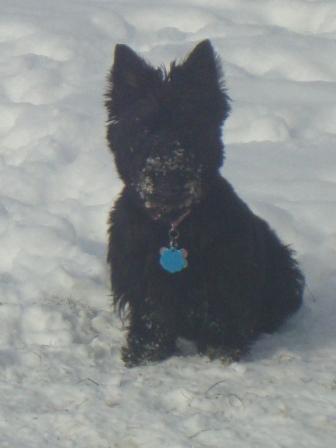 snowbuddies2