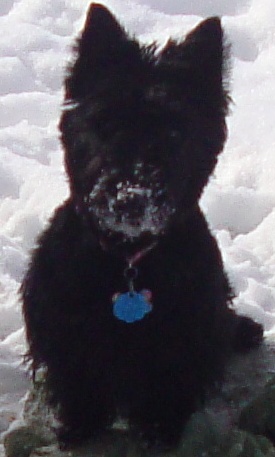 snowbuddies3