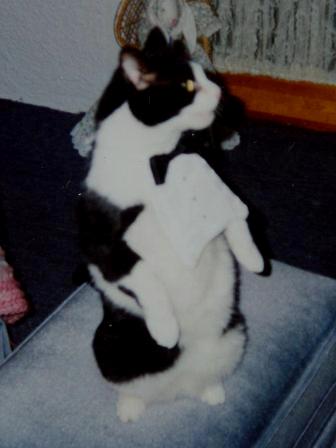 waybac.1999.MelTux.jpg