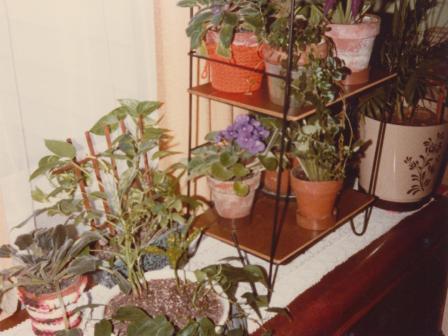 Waybac.1979.08.gmf