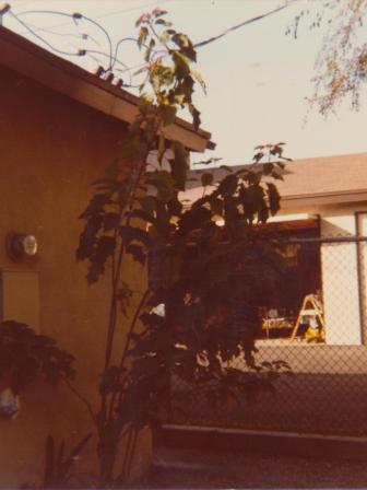 Waybac.1979.12.mmw2