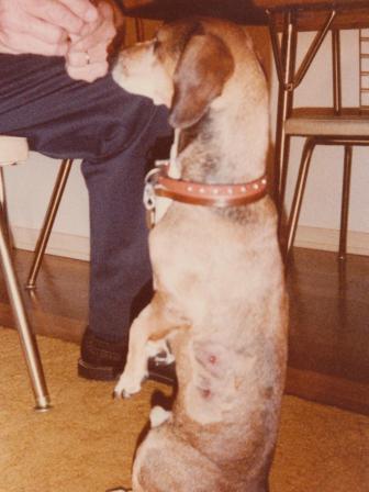 Waybac.1980.05.24.ggh1