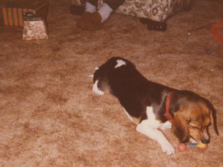 Waybac.1986.12.26.cilp14