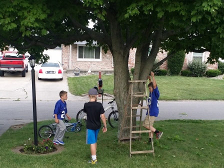 lgd14.2