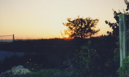 Waybac.2000.05.afgss1