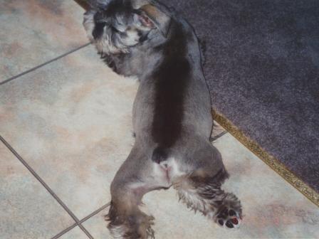 Waybac.2000.09.mtp2