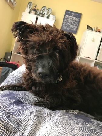 smp16.12.157