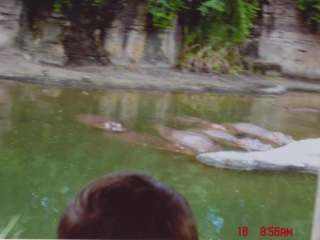 Waybac.2004.06.wdw282