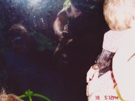 Waybac.2004.06.wdw465