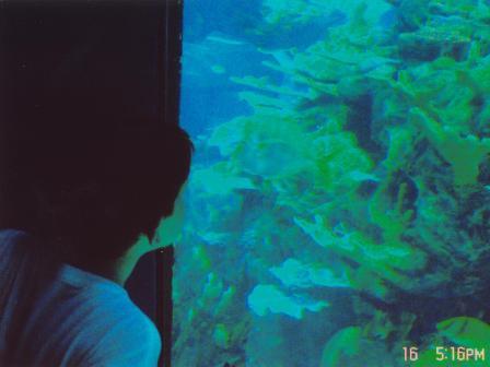 Waybac.2004.06.wdw503