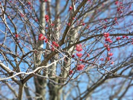 sis19.04.13
