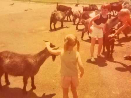 Waybac.1975.akjpz1