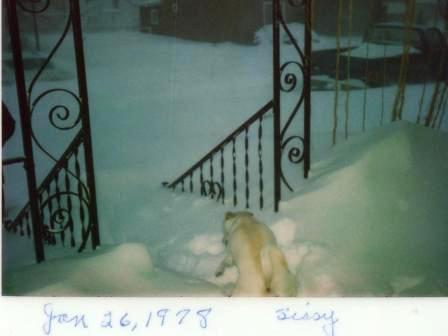 Waybac.1978.01.urb78a