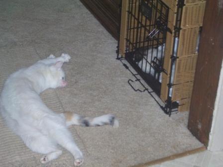 Waybac.2004.08.mmc04