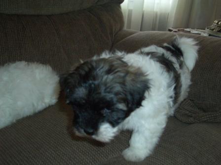 Waybac.2004.08.mmc06