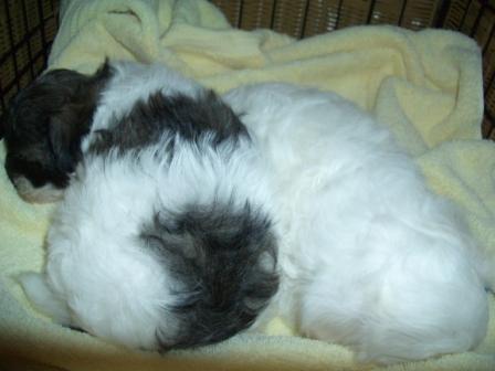 Waybac.2004.08.mmc07