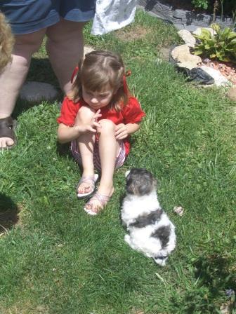 Waybac.2004.08.mmc11