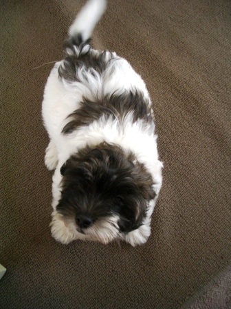 Waybac.2004.08.mmc12