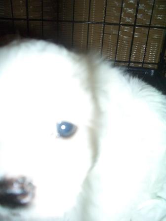 Waybac.2004.08.mmc23