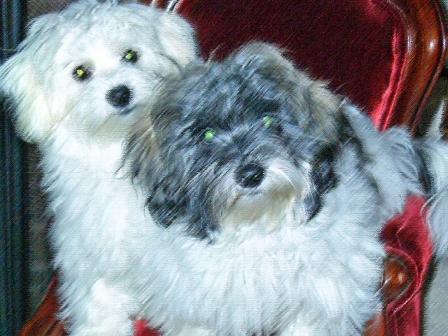 Waybac.2004.08.mmc25