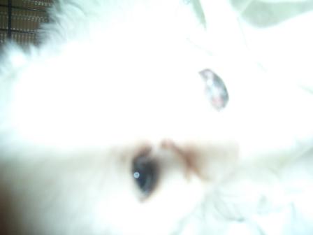 Waybac.2004.08.mmc28