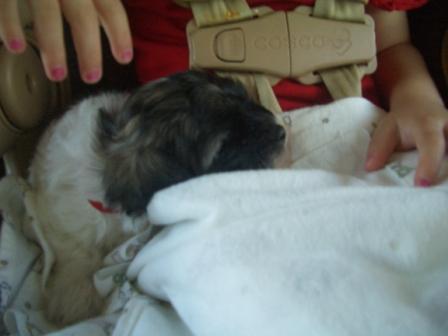 Waybac.2004.08.mmc56