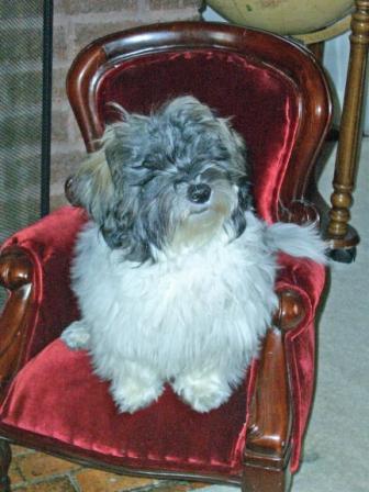 Waybac.2004.08.mmc71