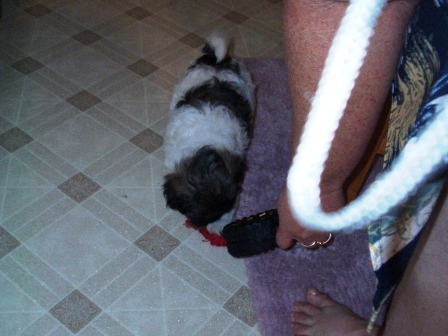 Waybac.2004.08.mmc76