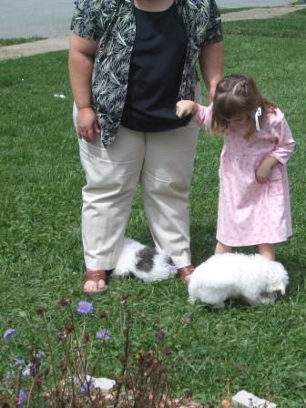 Waybac.2004.08.mmc97