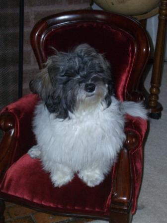 Waybac.2004.11.mabd03