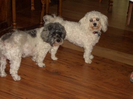 Waybac.2006.07.gbd05