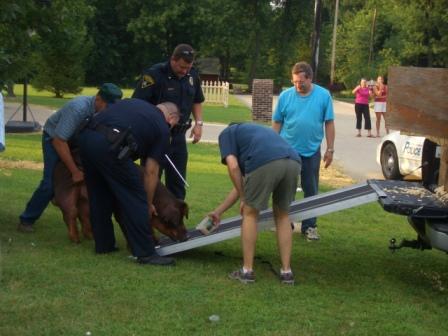 Waybac.2006.08.lwh00