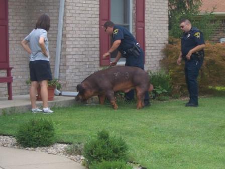 Waybac.2006.08.lwh03