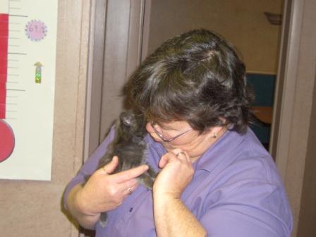 Waybac.2006.10.gwk03