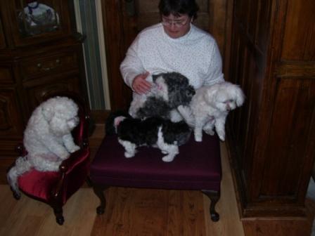 Waybac.2006.12.gad16